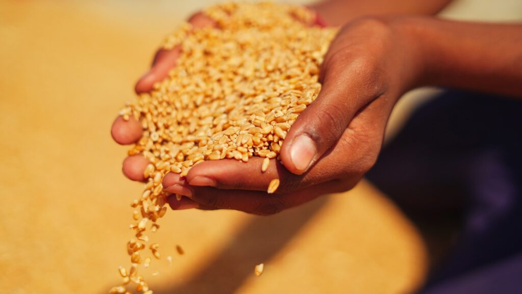 whatsapp image 2025 11 08 at 16.11.06 922cf498